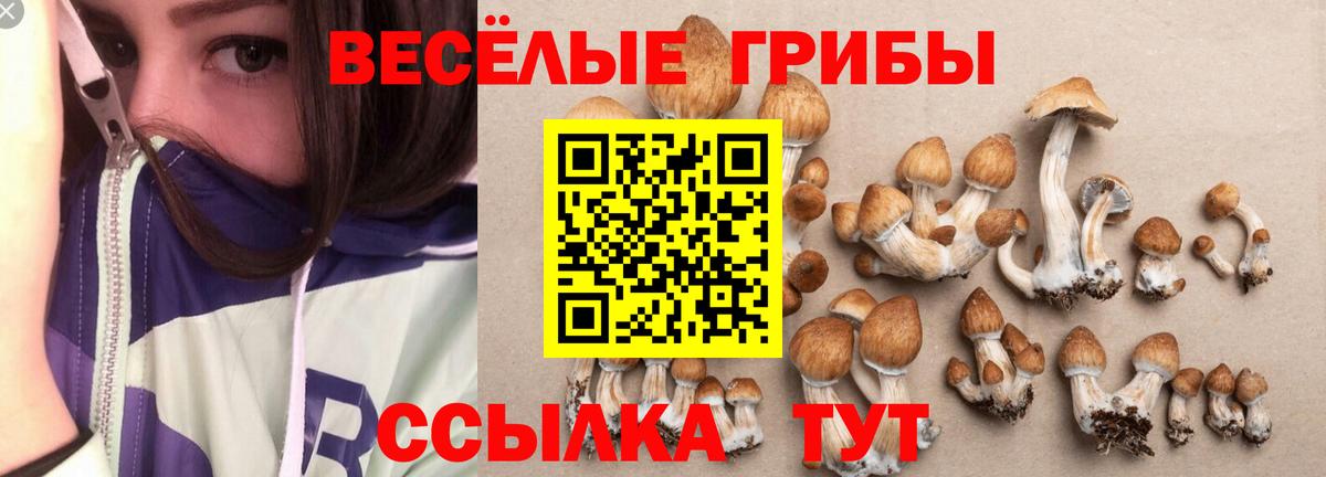 Галлюциногенные грибы Cubensis  Вход с VPN  продажа наркотиков  Городец  Псилоцибиновые грибы Magic Shrooms 